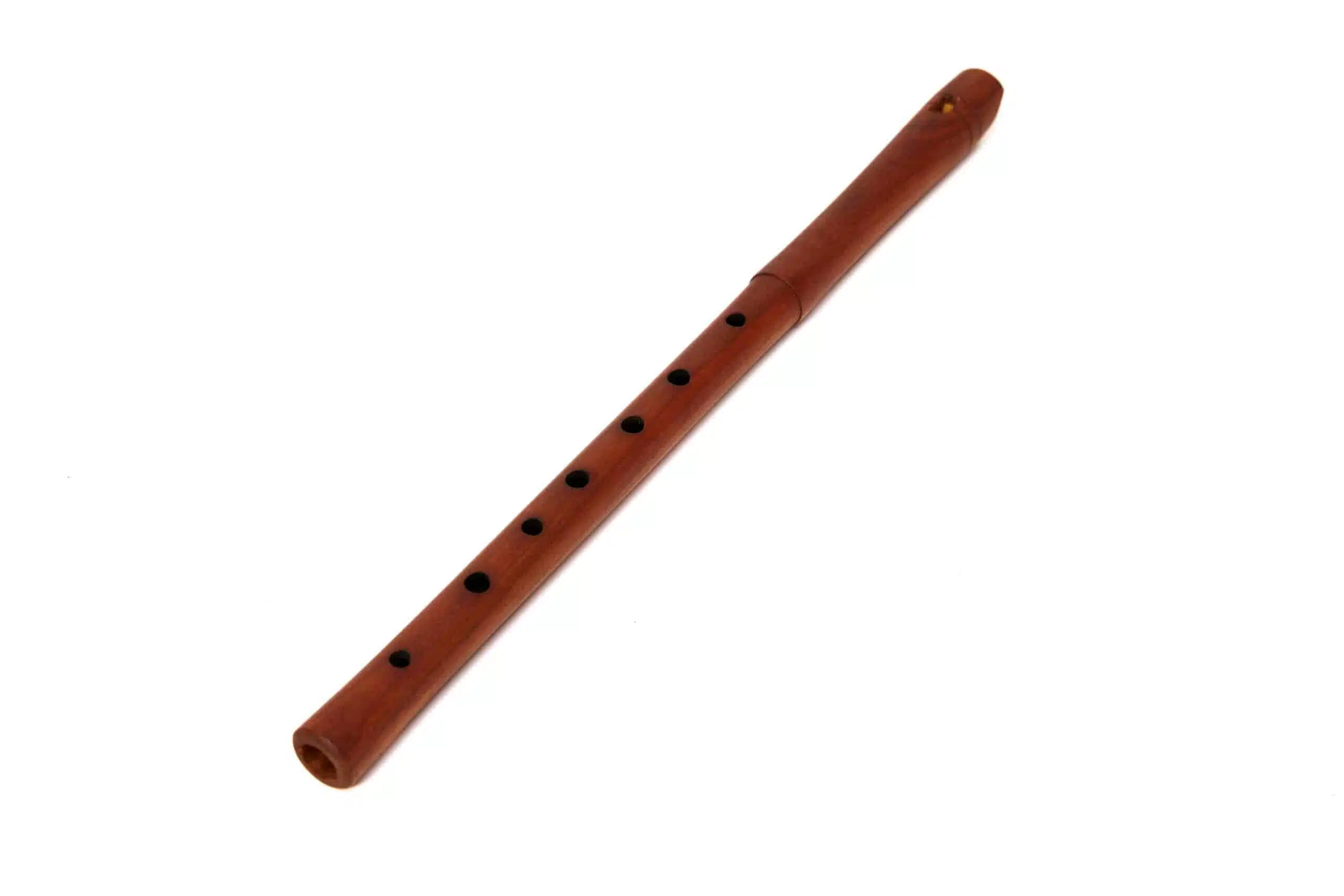 Authentic Melodies: Turkish  Plum Kaval La