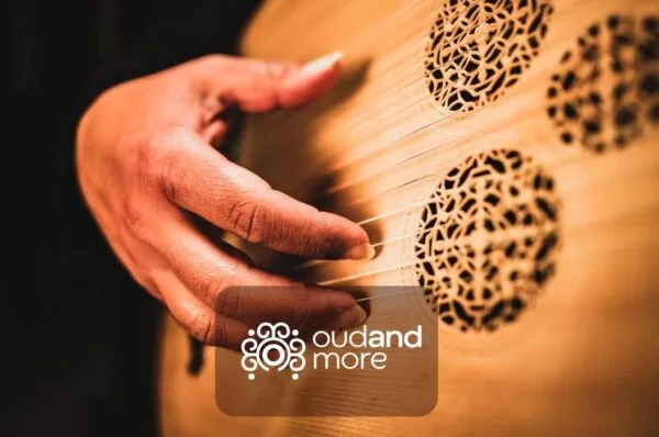 what is lute instrument
